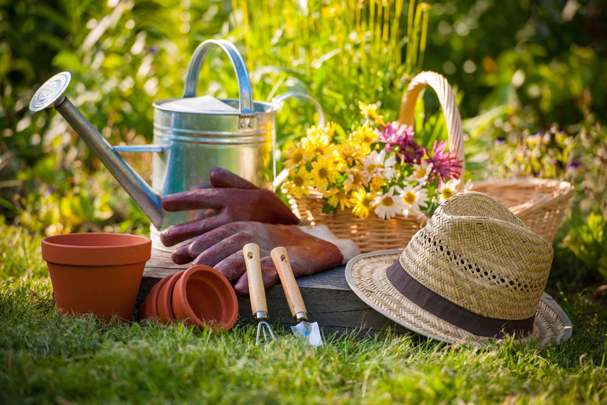 Want To Become A Pro At Gardening? Read On